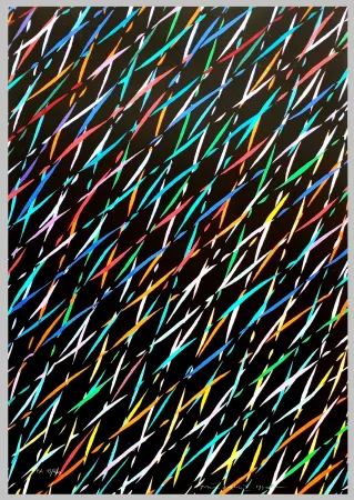 丝网印刷 Dorazio - Composizione