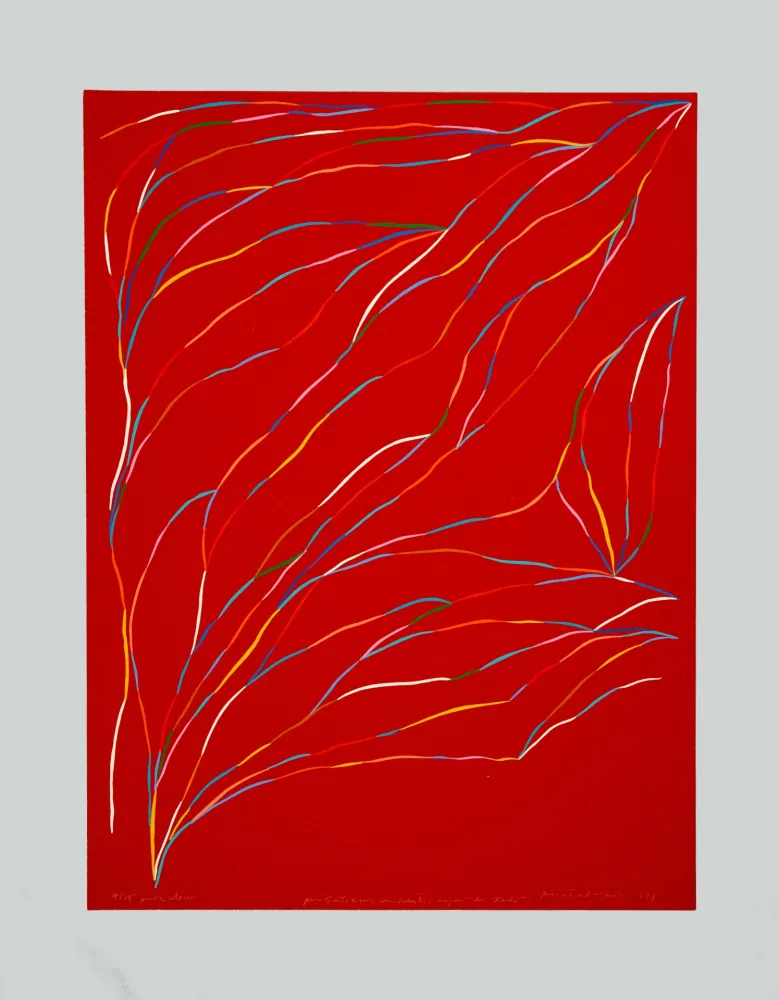 丝网印刷 Dorazio - Composizione