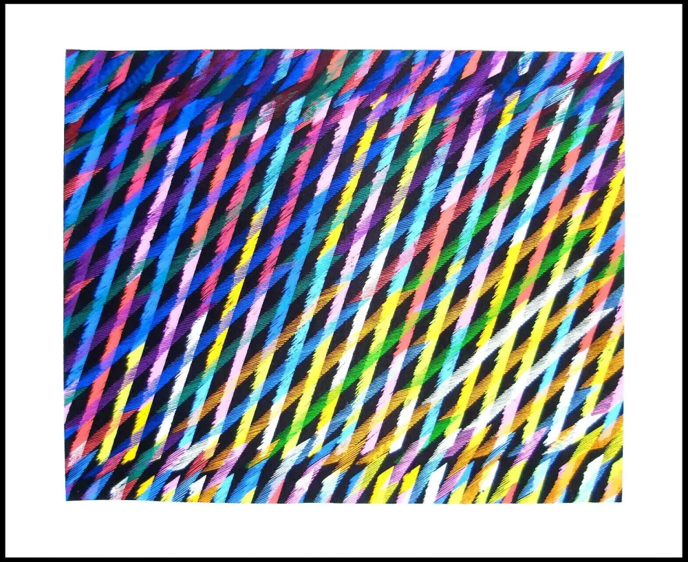 丝网印刷 Dorazio - Composizione