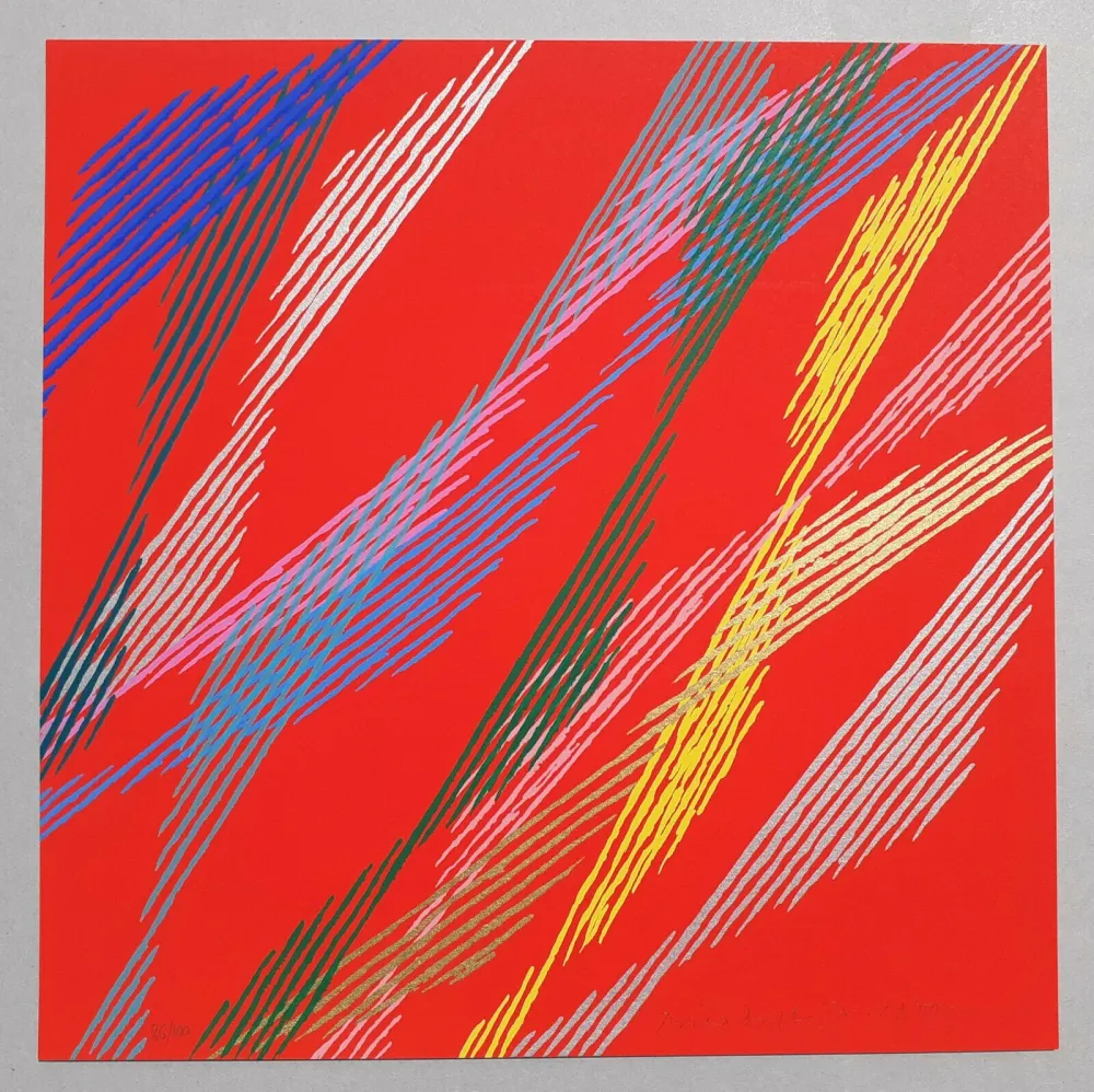 丝网印刷 Dorazio - Composizione B