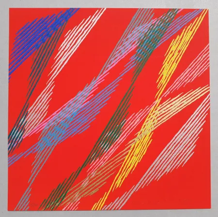 丝网印刷 Dorazio - Composizione B