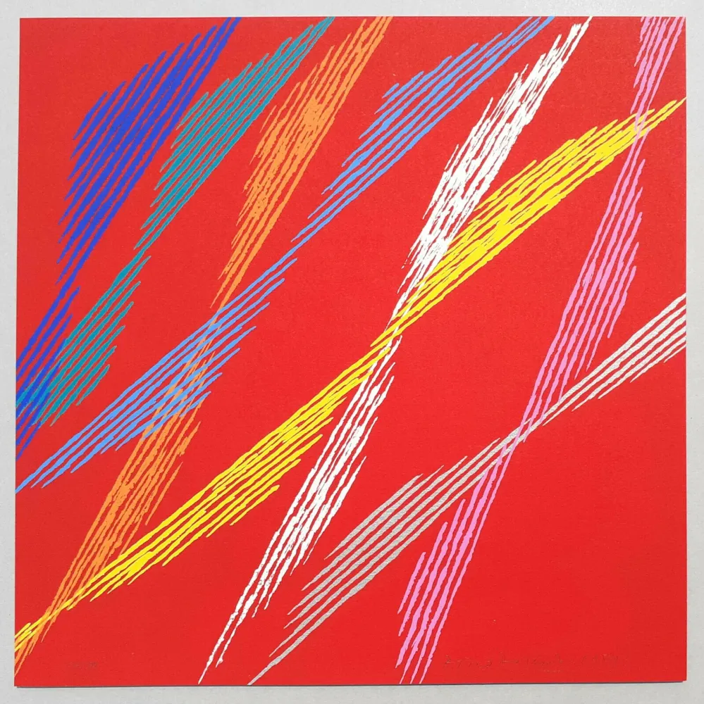 丝网印刷 Dorazio - Composizione C