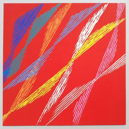 丝网印刷 Dorazio - Composizione C