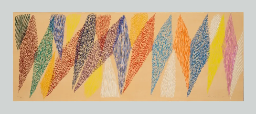 丝网印刷 Dorazio - Composizione rosa