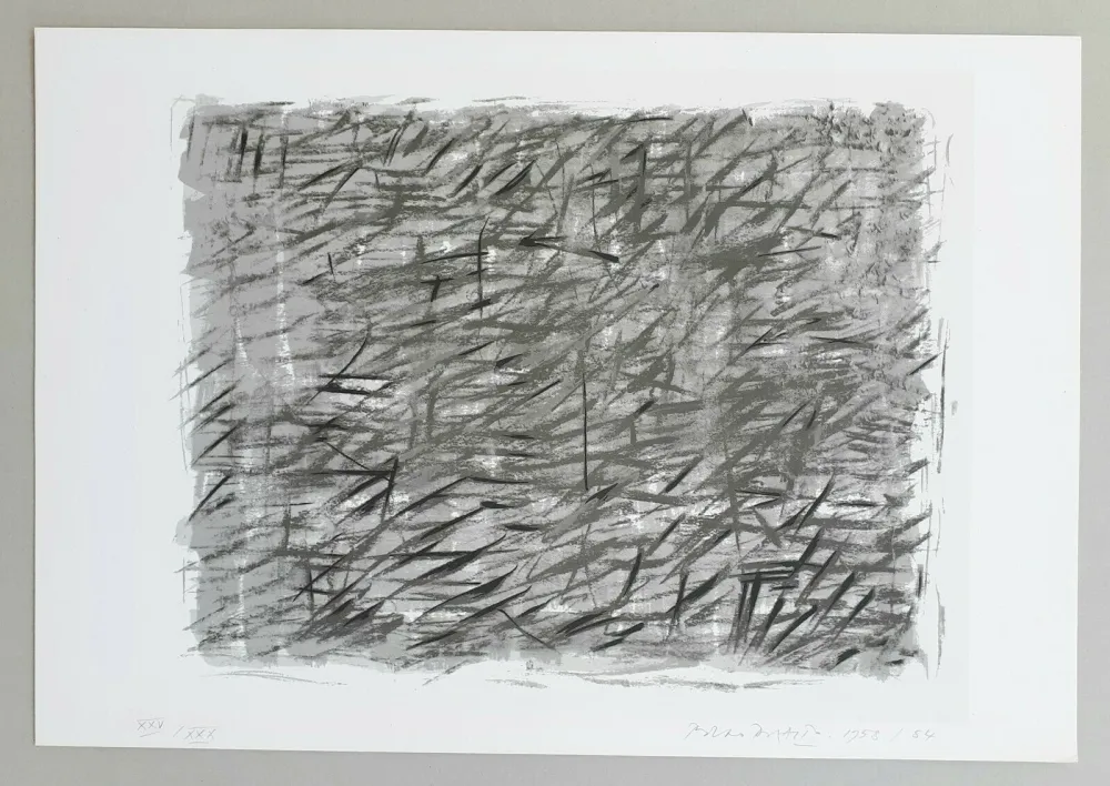 丝网印刷 Dorazio - Disegno