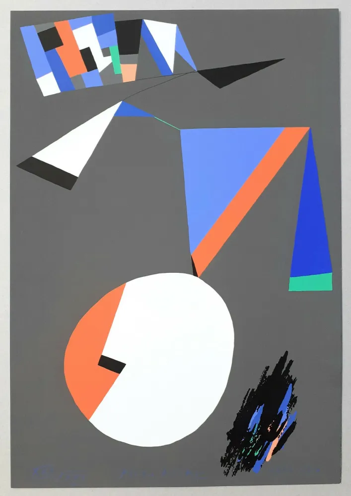 丝网印刷 Dorazio - Espaces