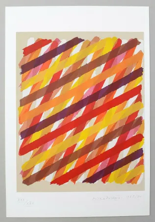 丝网印刷 Dorazio - Ex tempore IV