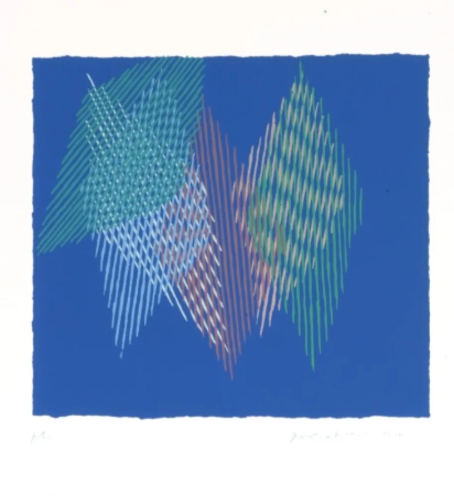 丝网印刷 Dorazio - 