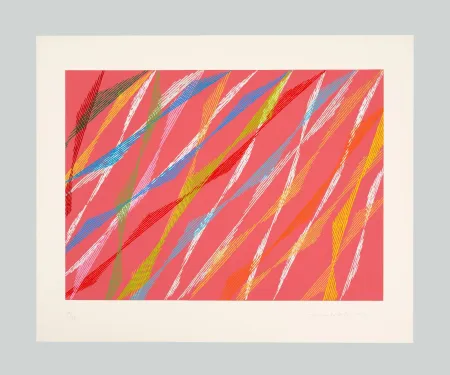 丝网印刷 Dorazio - La Ribambelle des Gobelins