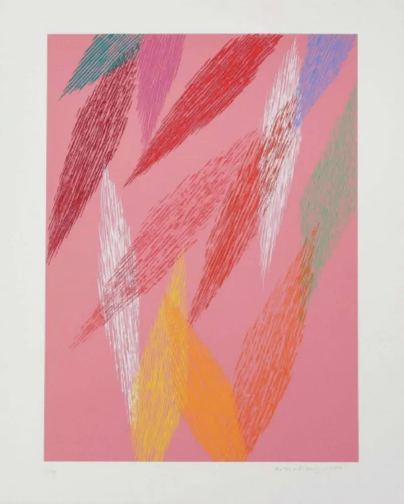 复数作品 Dorazio - Pink Abstract