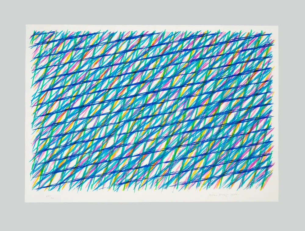 石版画 Dorazio - Reticolo