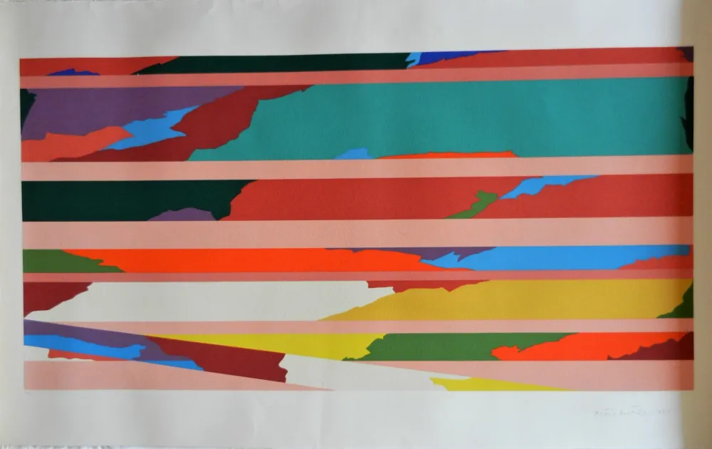 丝网印刷 Dorazio - Senza titolo