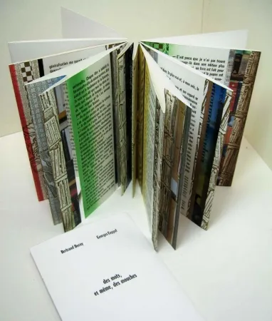 插图书 Dorny - Des mots, et meme, des mouches 