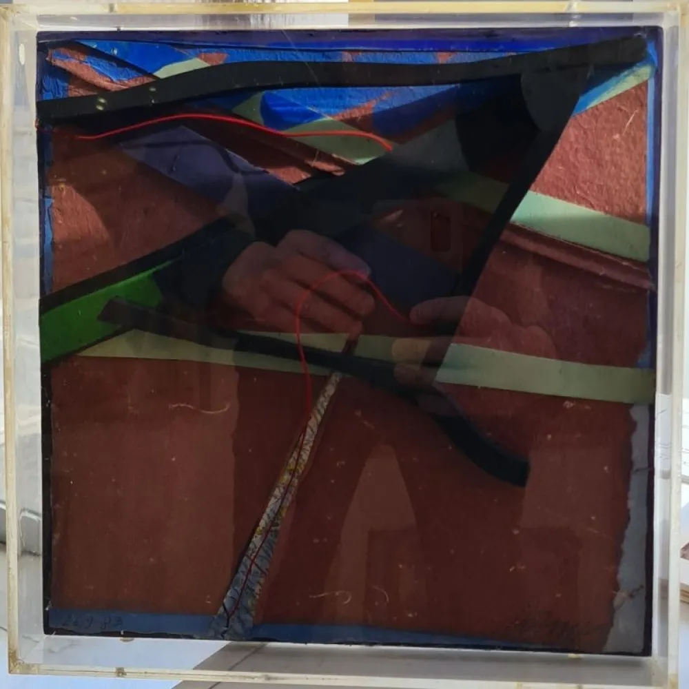 复数作品 Dorny - Xylomorphose n°113 