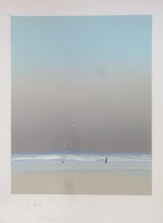 石版画 Doutreleau - Les mouettes