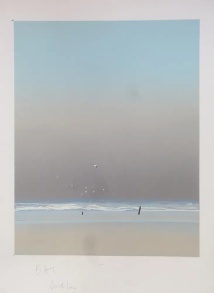 石版画 Doutreleau - Les mouettes