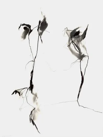 无技术 Drehbusch - Belangloskeiten / Irrelevancies