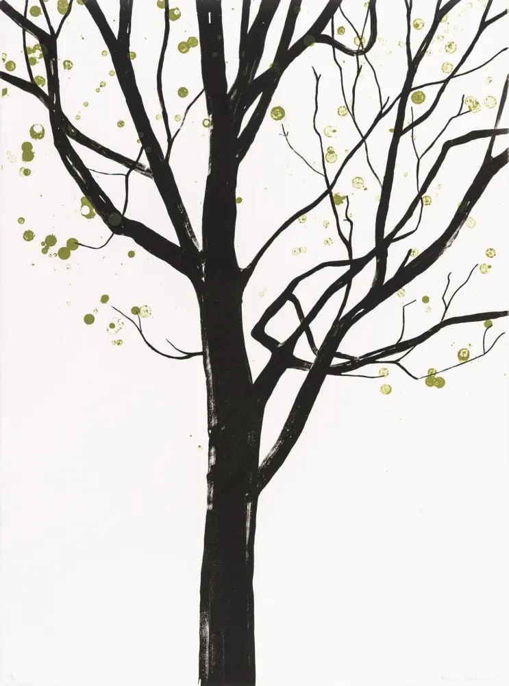 石版画 Drummond - Cathedral