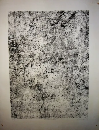石版画 Dubuffet - Animation contenue
