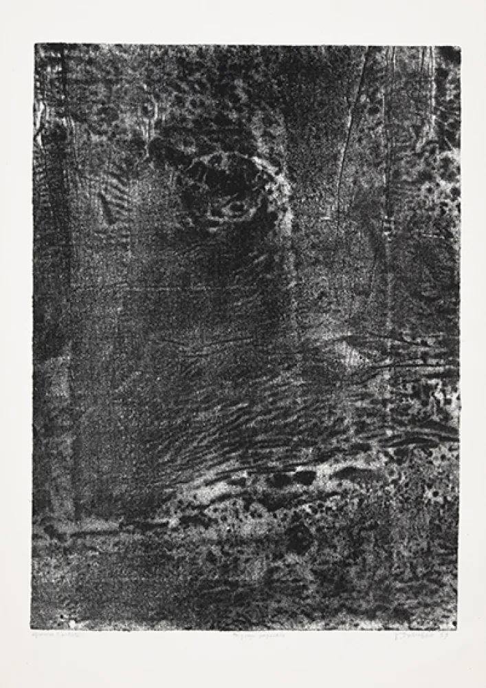 石版画 Dubuffet - Paysage japonais