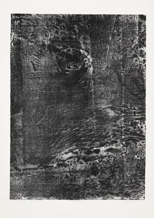 石版画 Dubuffet - Paysage japonais