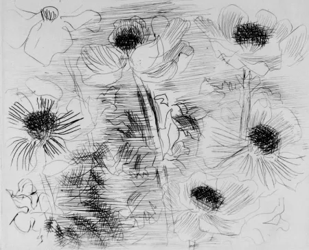 蚀刻版画 Dufy - Anemones