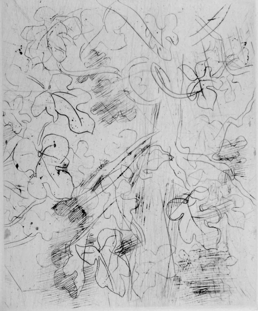 蚀刻版画 Dufy - Figuier