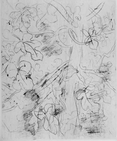 蚀刻版画 Dufy - Figuier