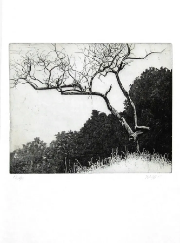 插图书 Dugo - Poco prima del temporale