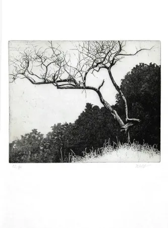 插图书 Dugo - Poco prima del temporale