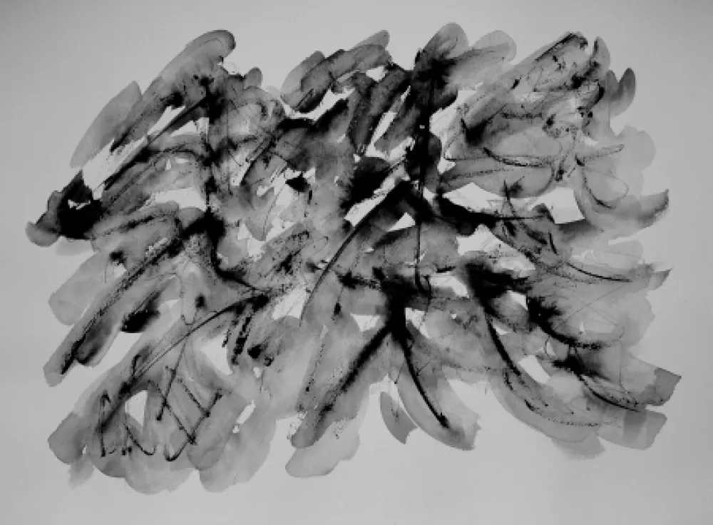 无技术 Dumont - LE VERCORS / THE VERCORS