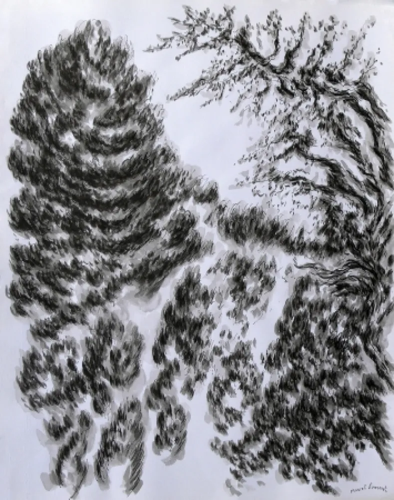 无技术 Dumont - LES / THE ALPILLES