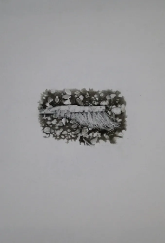 无技术 Ebert - Besen