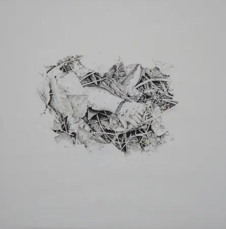 无技术 Ebert - Handschuh / Glove