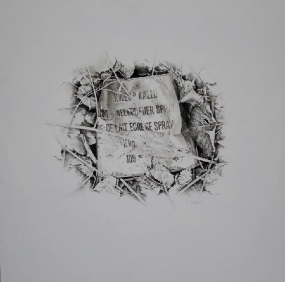 无技术 Ebert - Komposition mit Efeu