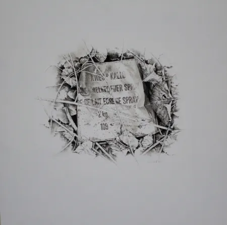 无技术 Ebert - Komposition mit Efeu