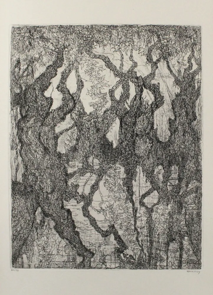 蚀刻版画 Eliasberg - Die Platanen des Pelion