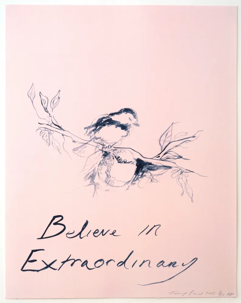 石版画 Emin - Believe in Extraordinary