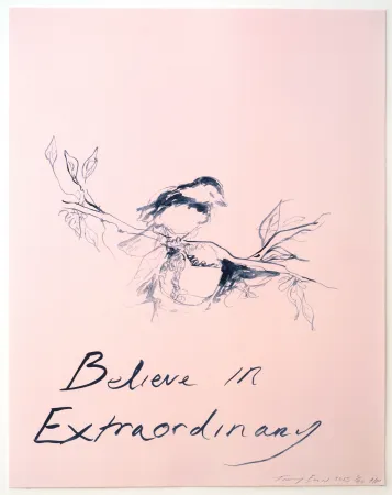石版画 Emin - Believe in Extraordinary