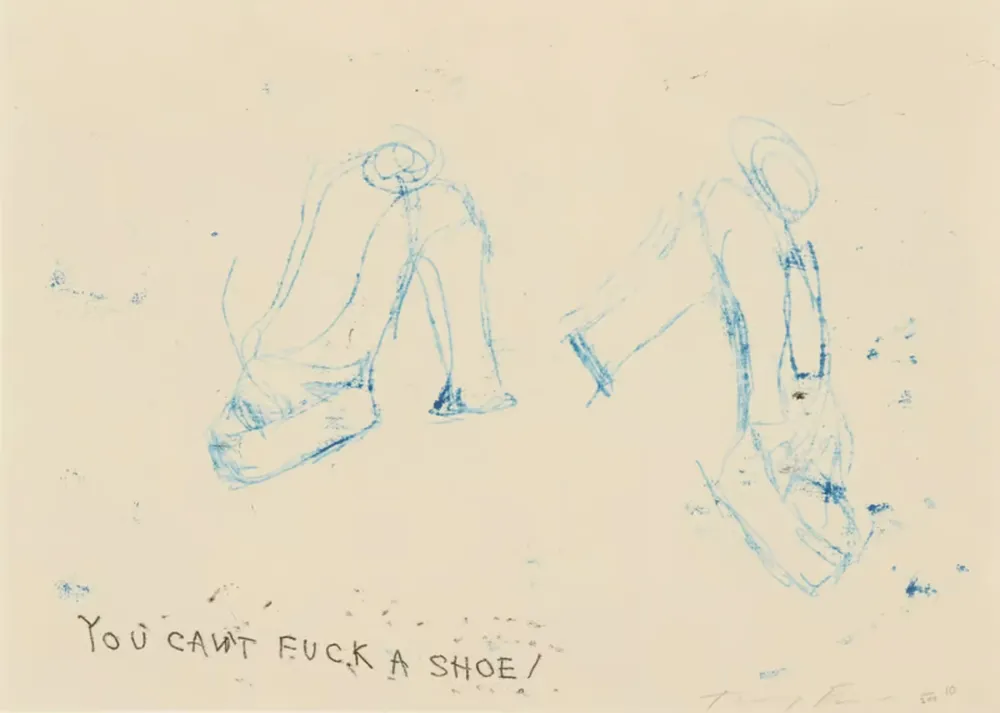 复数作品 Emin - You Can't Fuck A Shoe