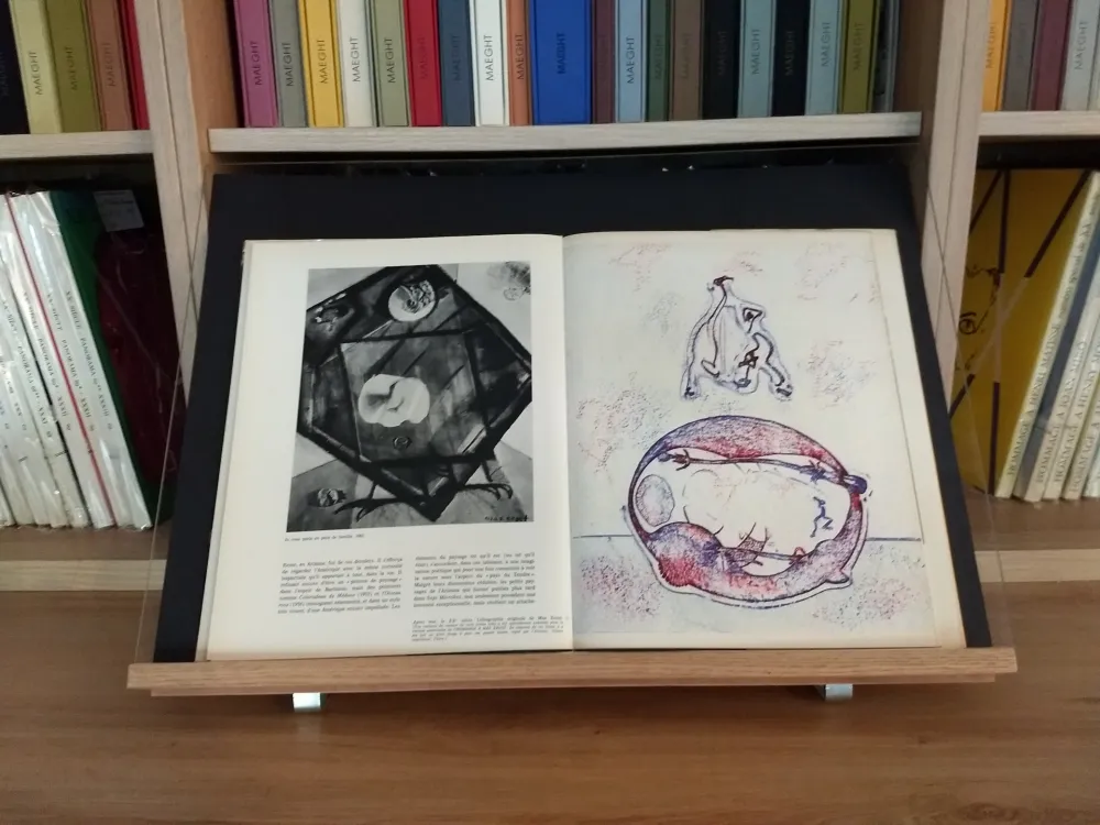 插图书 Ernst - Hommage