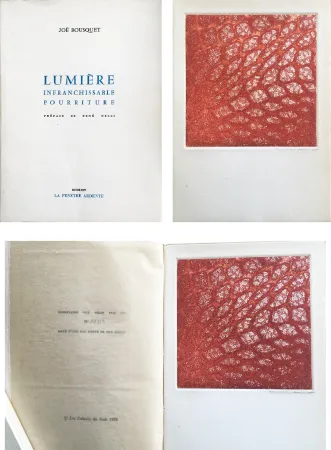 蚀刻飞尘法 Ernst - Joë Bousquet : LUMIERE INFRANCHISSABLE POURRITURE (1964).
