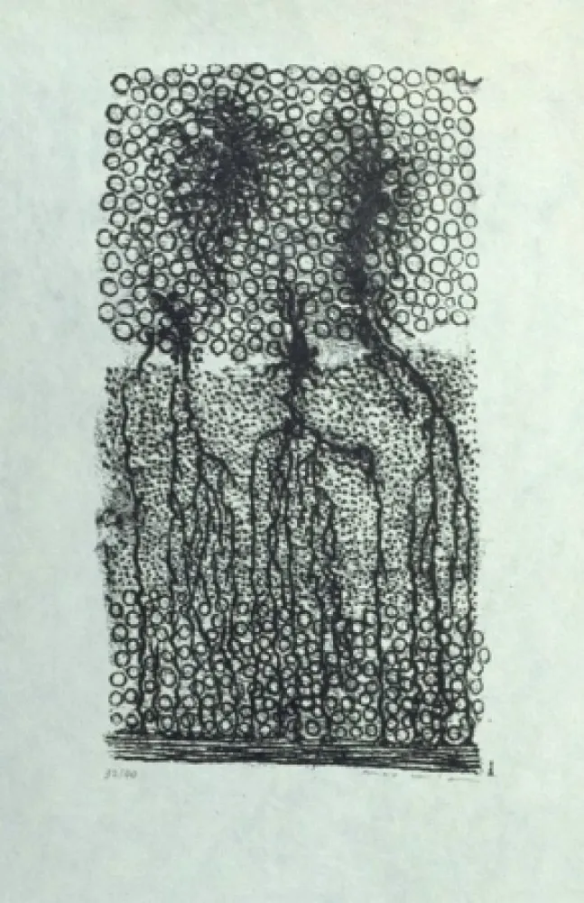 石版画 Ernst - Sans titre