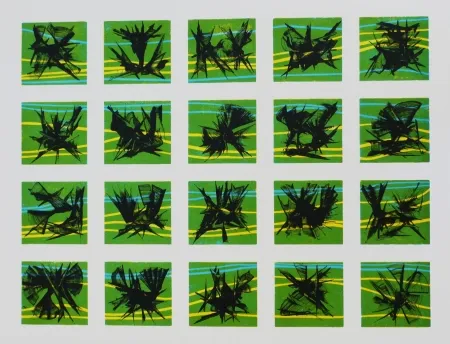 石版画 Ernst - Terra Incognita 10