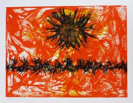 石版画 Ernst - Terra Incognita 12