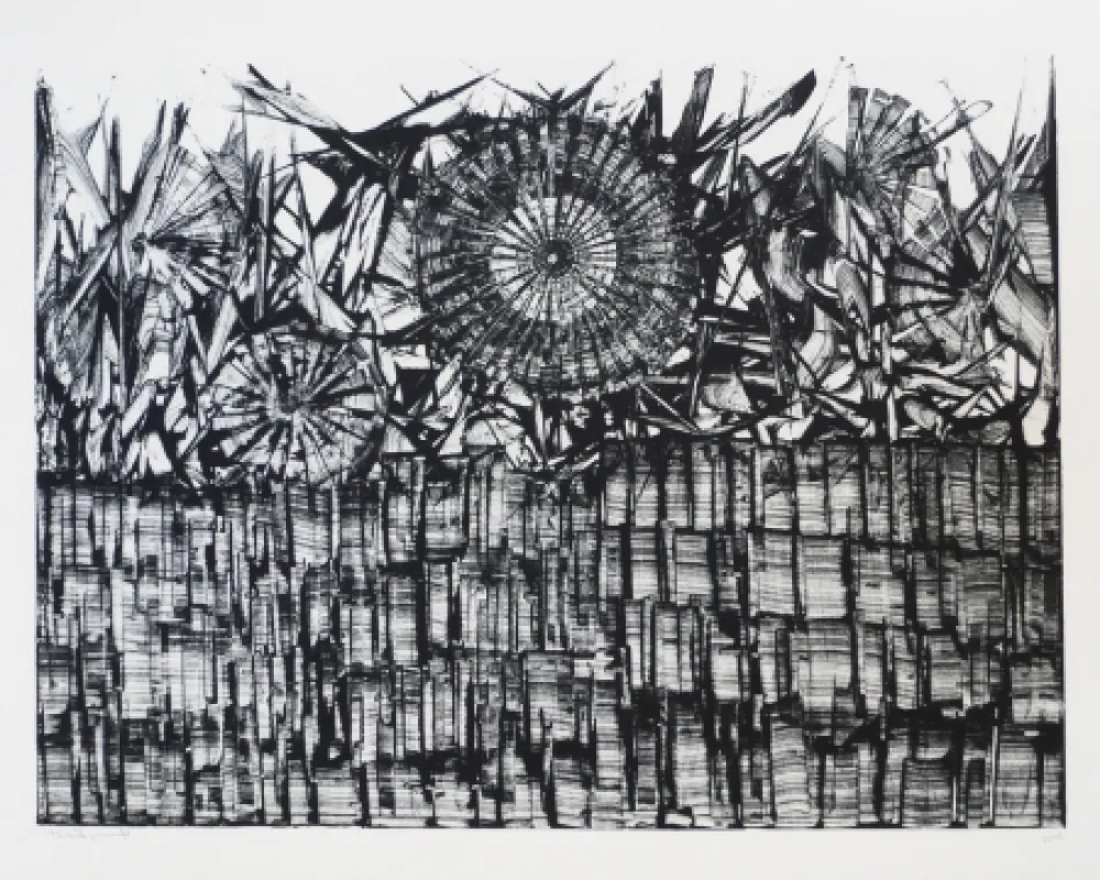 石版画 Ernst - Terra Incognita 4