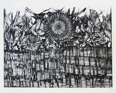 石版画 Ernst - Terra Incognita 4