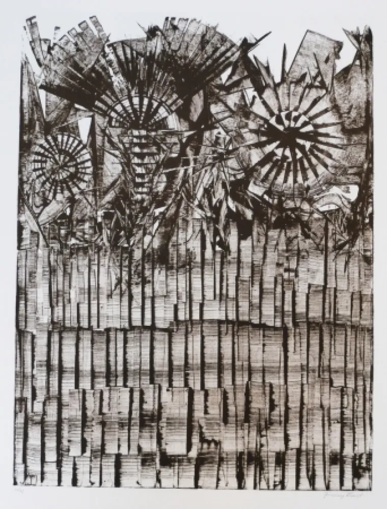 石版画 Ernst - Terra Incognita 9