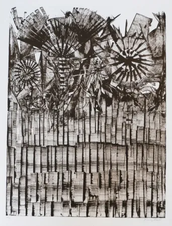 石版画 Ernst - Terra Incognita 9