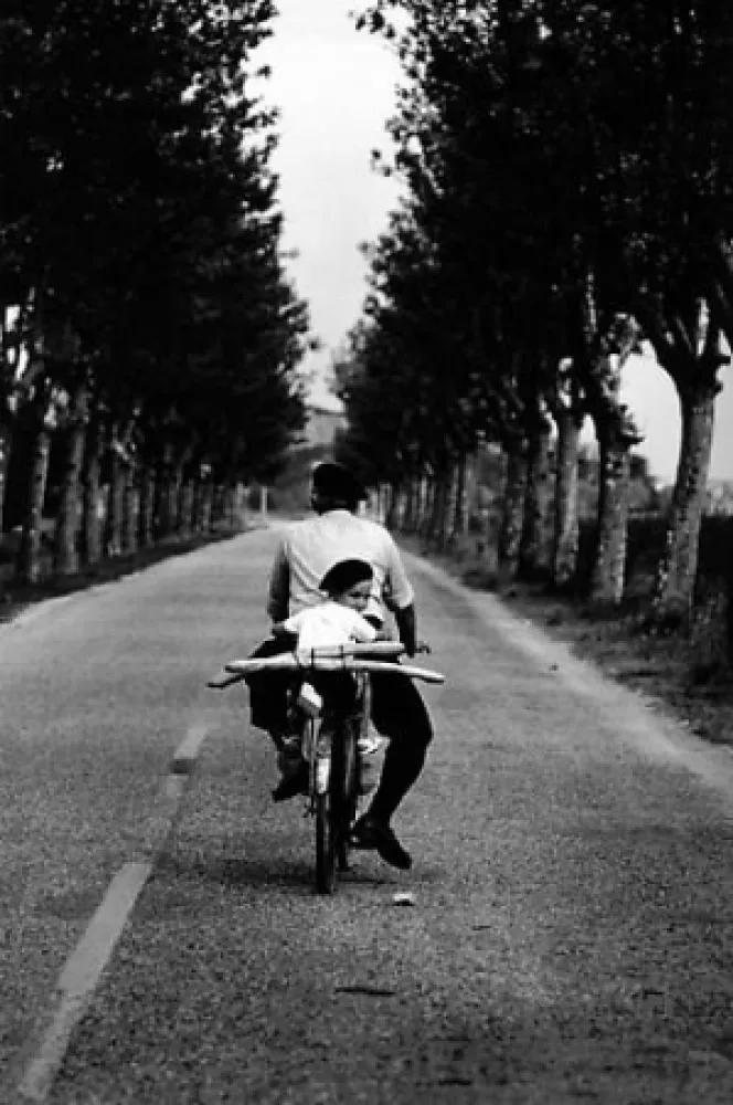 摄影 Erwitt - Provence